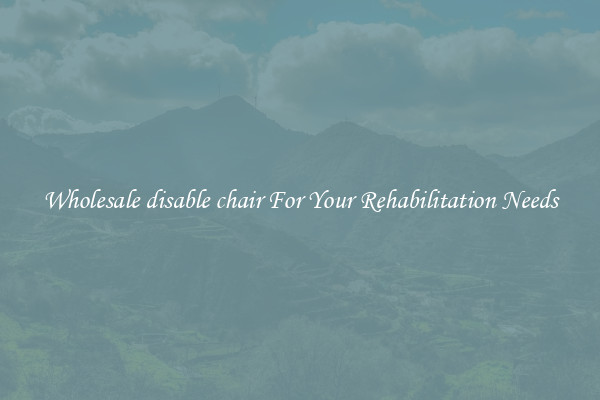 Wholesale disable chair For Your Rehabilitation Needs