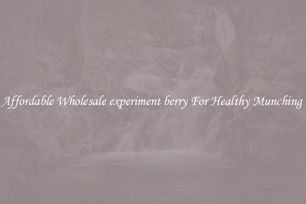 Affordable Wholesale experiment berry For Healthy Munching 