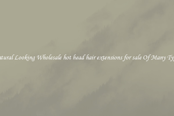 Natural Looking Wholesale hot head hair extensions for sale Of Many Types