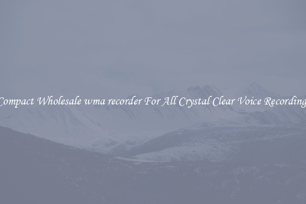 Compact Wholesale wma recorder For All Crystal Clear Voice Recordings