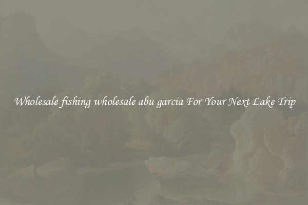 Wholesale fishing wholesale abu garcia For Your Next Lake Trip