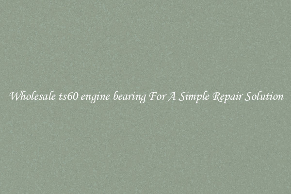 Wholesale ts60 engine bearing For A Simple Repair Solution