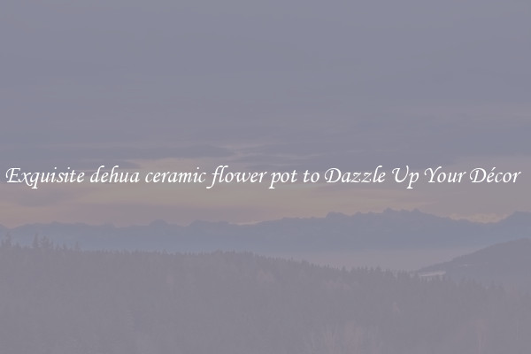 Exquisite dehua ceramic flower pot to Dazzle Up Your Décor  