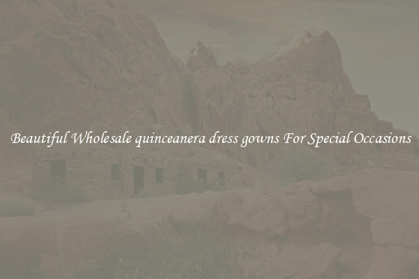 Beautiful Wholesale quinceanera dress gowns For Special Occasions