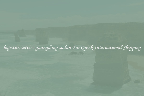 logistics service guangdong sudan For Quick International Shipping