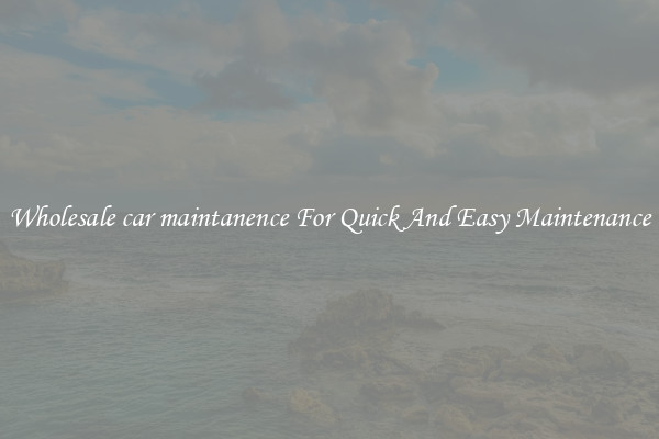 Wholesale car maintanence For Quick And Easy Maintenance