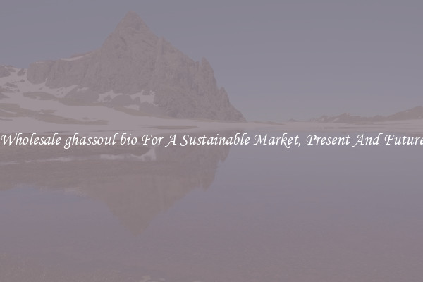 Wholesale ghassoul bio For A Sustainable Market, Present And Future