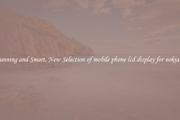 Stunning and Smart, New Selection of mobile phone lcd display for nokia c6