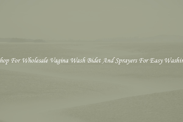 Shop For Wholesale Vagina Wash Bidet And Sprayers For Easy Washing