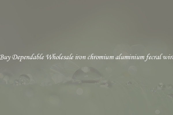 Buy Dependable Wholesale iron chromium aluminium fecral wire