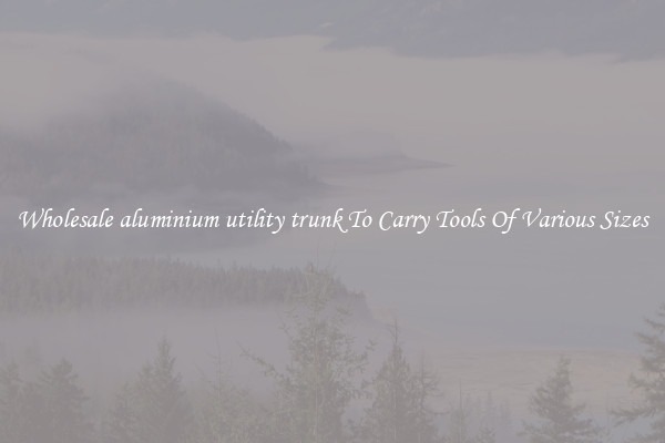 Wholesale aluminium utility trunk To Carry Tools Of Various Sizes