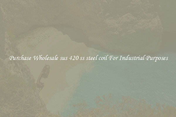 Purchase Wholesale sus 420 ss steel coil For Industrial Purposes