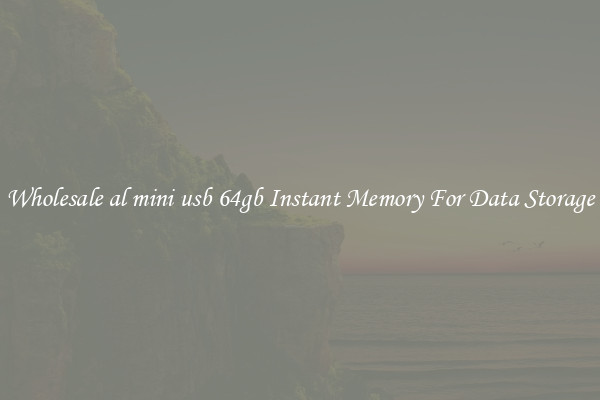 Wholesale al mini usb 64gb Instant Memory For Data Storage