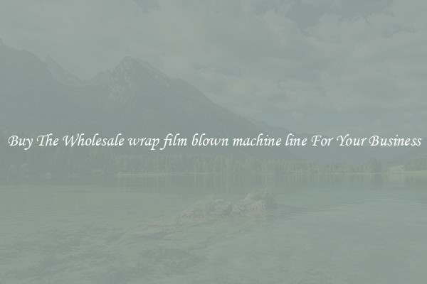  Buy The Wholesale wrap film blown machine line For Your Business 