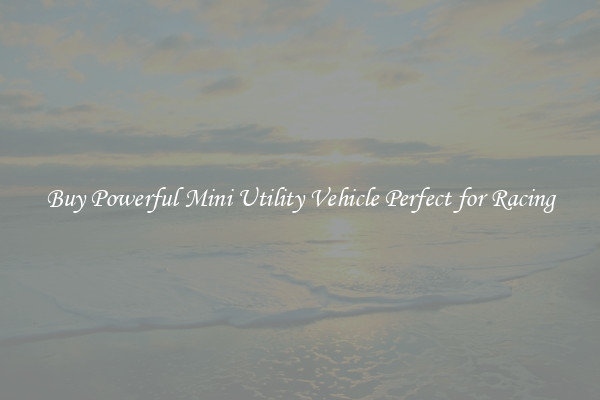 Buy Powerful Mini Utility Vehicle Perfect for Racing