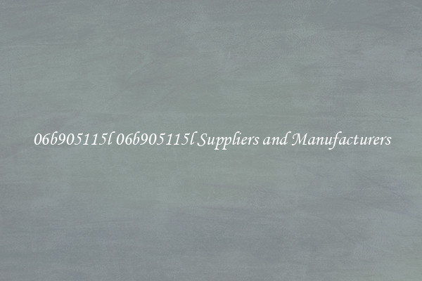 06b905115l 06b905115l Suppliers and Manufacturers
