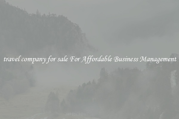 travel company for sale For Affordable Business Management