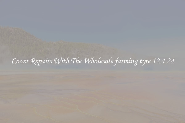  Cover Repairs With The Wholesale farming tyre 12 4 24 