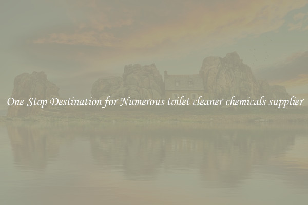 One-Stop Destination for Numerous toilet cleaner chemicals supplier